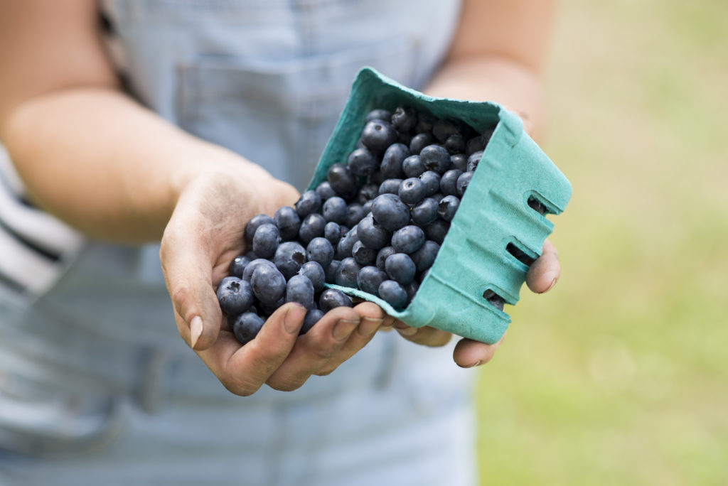 Benefits of Blueberries