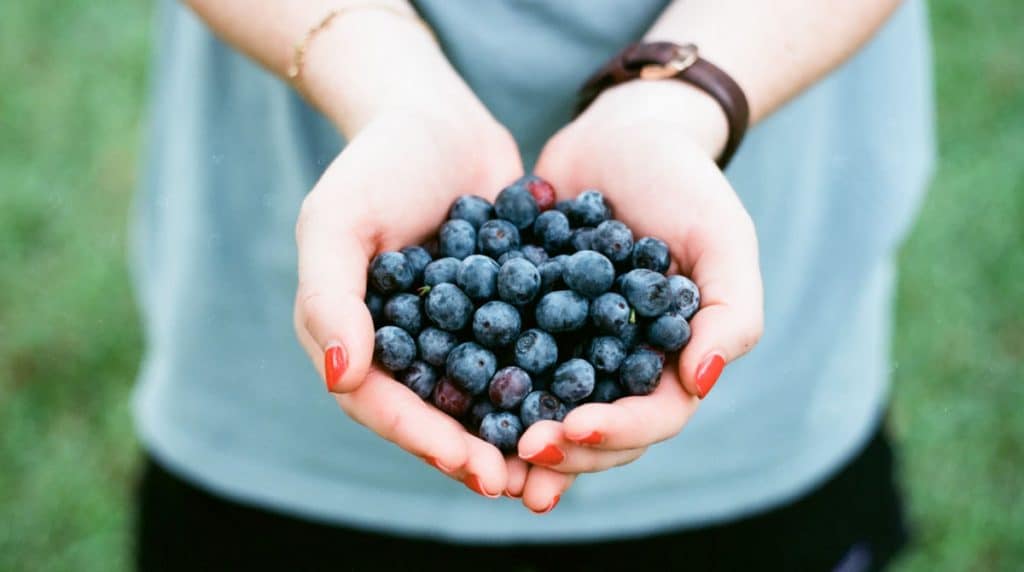 Supercharge Your Brain with Blueberries